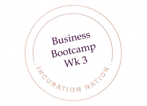 Incubation Nation Business Bootcamp Milton Keynes